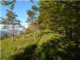 Col - Križna gora above Col